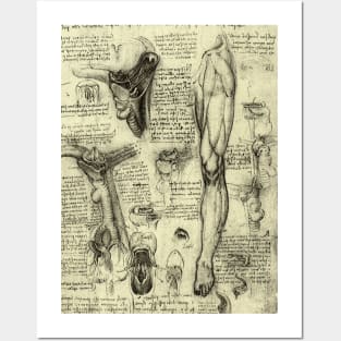 Human Anatomy Leg and Larynx by Leonardo da Vinci Posters and Art